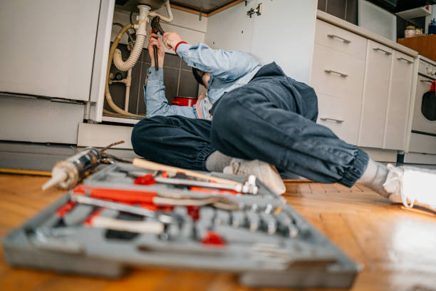Best Leak Detection Services  in Onalaska, WI
